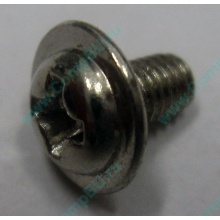 Компьютерный винт "малый" PW-M3x6mm (Омск)