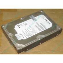HP 250G 7.2k 432337-001/ 399699-001 / 397377-004 SATA HDD (Омск)