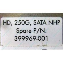 HP 250G 7.2k 432337-001/ 399699-001 / 397377-004 SATA HDD (Омск)