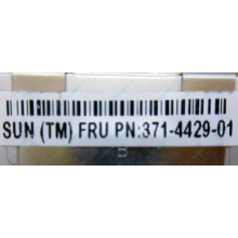 Серверная память SUN (FRU PN 371-4429-01) 4096Mb (4Gb) DDR3 ECC в Омске, память для сервера SUN FRU P/N 371-4429-01 (Омск)