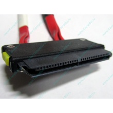 SATA-кабель для корзины HDD HP 451782-001 459190-001 для HP ML310 G5 (Омск)