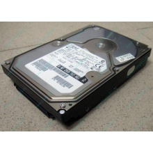 Жесткий диск 18.2Gb IBM Ultrastar DDYS-T18350 Ultra3 80 pin SCSI (Омск)