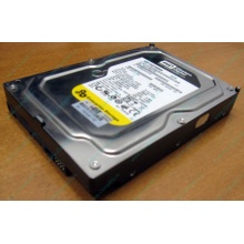 Жесткий диск 160Gb WD WD1602ABKS SATA (Омск)