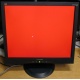 Монитор 19" ViewSonic VA903b (1280x1024) есть битые пиксели (Омск)