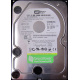 Б/У жёсткий диск 500Gb Western Digital WD5000AVVS (WD AV-GP 500 GB) 5400 rpm SATA (Омск)