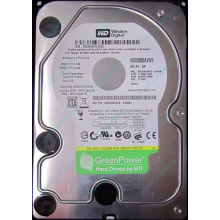 Б/У жёсткий диск 500Gb Western Digital WD5000AVVS (WD AV-GP 500 GB) 5400 rpm SATA (Омск)