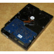 Электроника HDD 500Gb Hitachi HDS721050DLE630 (Омск)