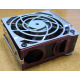 HP 224977 (224978-001) for Proliant ML370 G2/G3/G4 (Омск).
