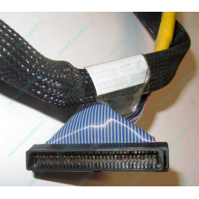 Кабель SCSI HP 166298-037 для HP ML370 G4 (Омск)