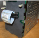 HP 365664-001 кабель SCSI для корзины 373108-001 / 359719-001 HP ML370G4 (Омск)