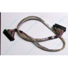 6017B0045301 в Омске, 68pin SCSI кабель 26.5" / 57cm для корзины HDD Intel SR2400 (Омск)