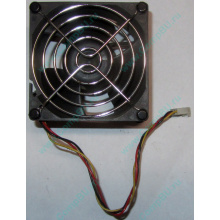 Вентилятор EFB0812HHE IBM 59P23B1 FRU 59P2572 (Омск)