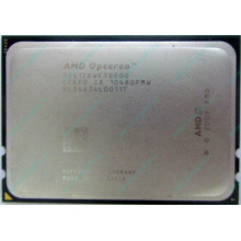AMD Opteron 6128 OS6128WKT8EGO (Омск)