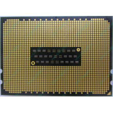 AMD Opteron 6128 OS6128WKT8EGO (Омск)