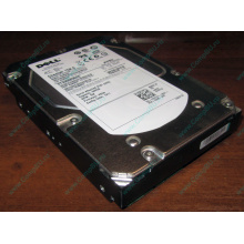 Жесткий диск 300Gb 15k Dell 9CH066-050 6G SAS (Seagate Cheetach ST3300656SS 15K.6) - Омск