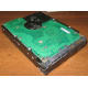 Жесткий диск 300Gb 15k Seagate Cheetach ST3300656SS 15K.6 Dell 9CH066-050 6G SAS (Омск)