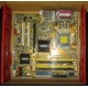 Материнская плата Asus P5L-VM 1394 s.775 (Омск)